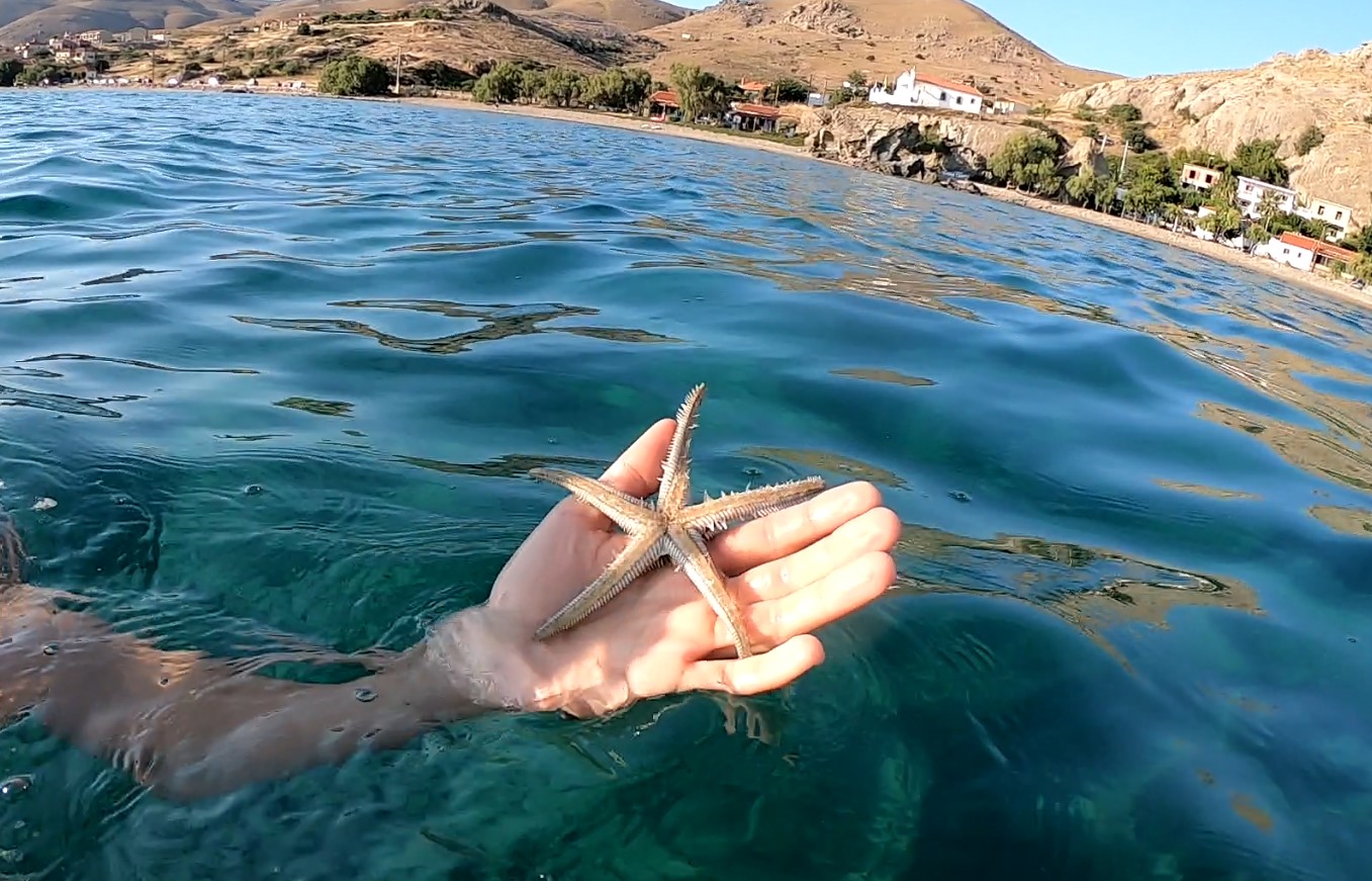 https://ok-sailing.com/wp-content/uploads/2024/02/Limnos-4.jpg